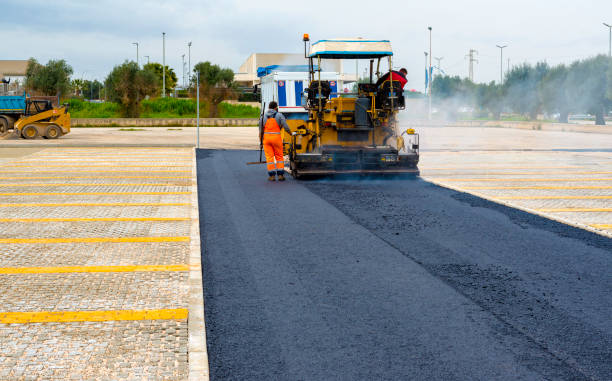 Best Custom Driveway Pavers  in Hamton, IL