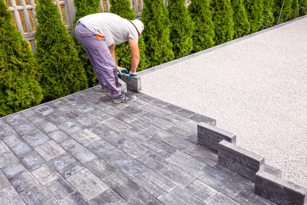 Best Driveway Paving Contractor  in Hamton, IL